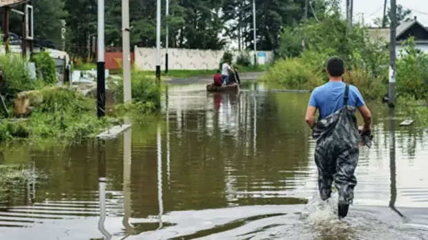 Почти 50 дачных участков подтоплено в Можайске из-за дождя
