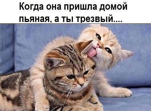 25 комментарии и картинки с надписями, смс