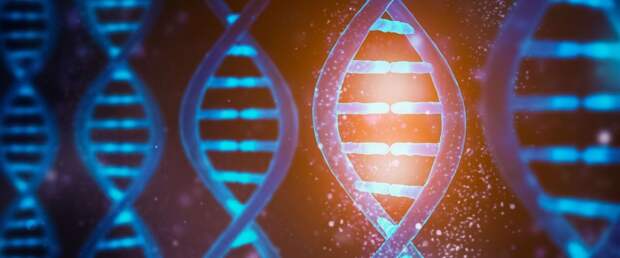 Новая методика полностью секвенирует геном человека за 8 часов вместо недель