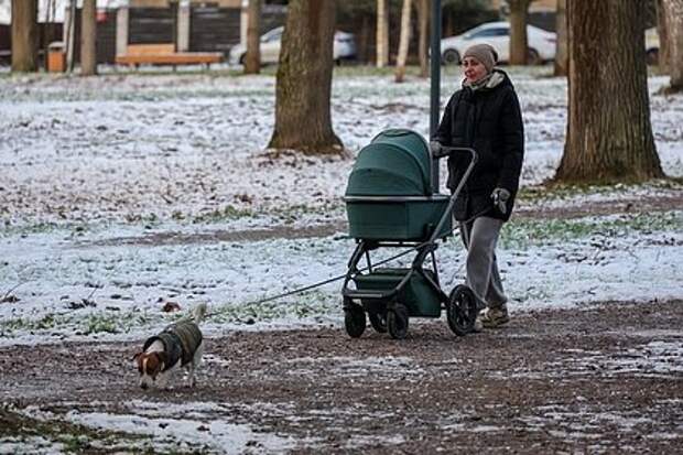 В Госдуме рассказали о способе увеличить размер маткапитала в 2026 году