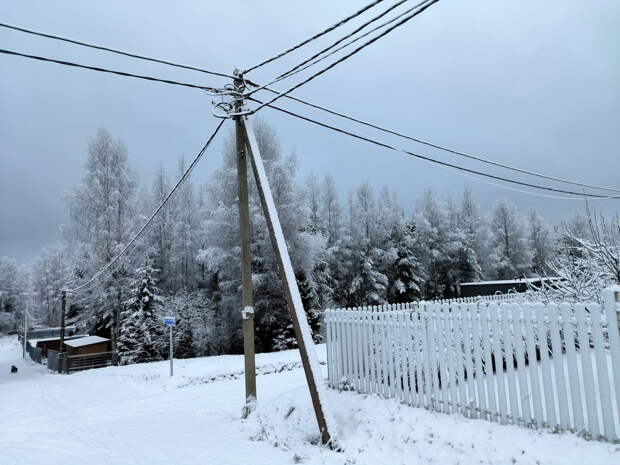 В Подмосковье из-за мощного снегопада без света осталось полсотни поселков