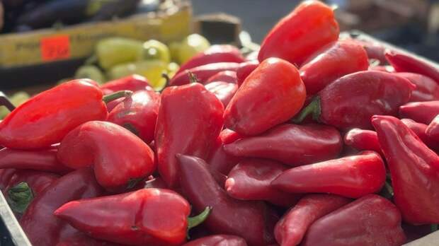 Продовольственные ярмарки в Барнауле собрали 13,4 млн рублей