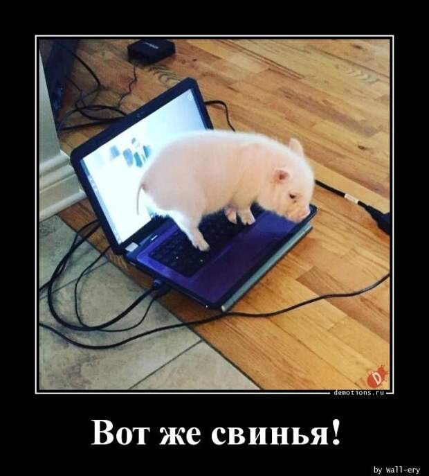 Демотиваторы для всех (18 фото)