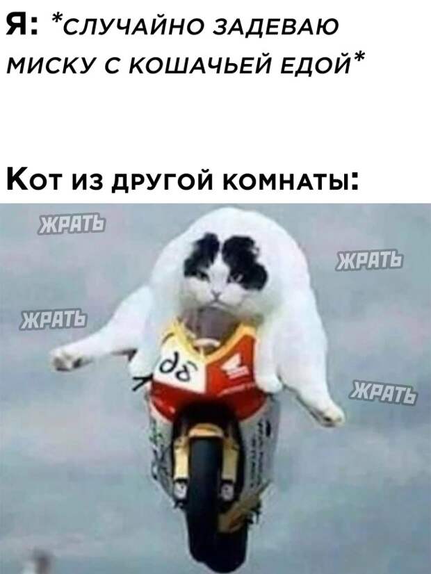 Смешные картинки 31 декабря 2020
