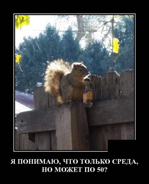 Демотиваторы (30 фото)