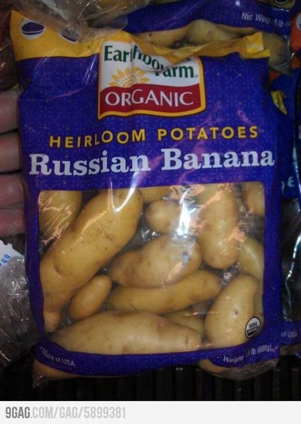 Маразмики