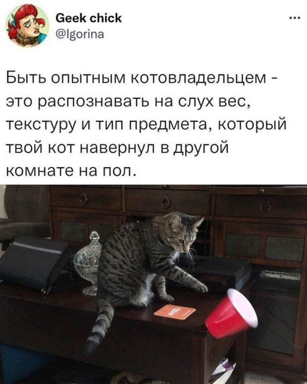 Смешные комментарии к постам в социальных сетях