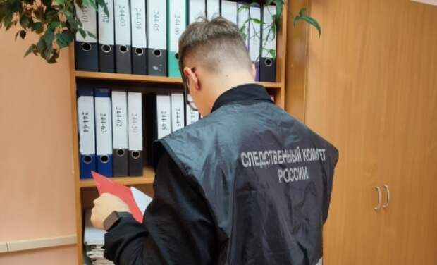 В Новомосковске завершили расследование дела о вовлечении подростка в грабеж