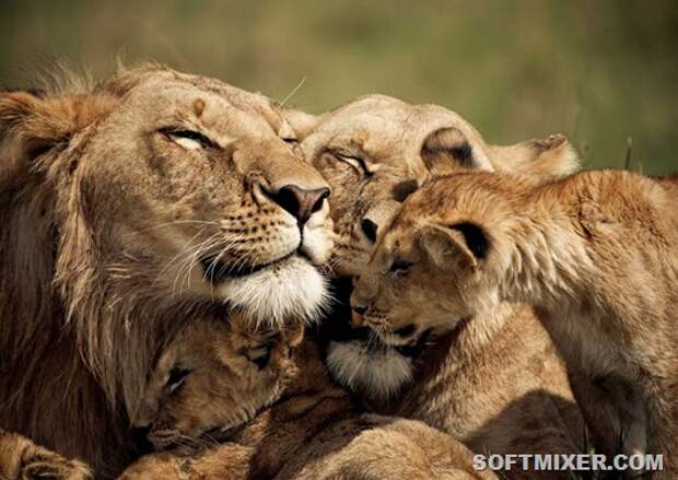 Family-Time