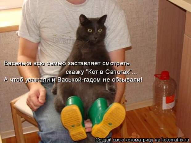 Свежая прикольная котоматрица (26 фото)