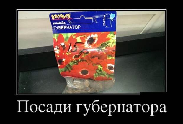 Новая подборка демотиваторов