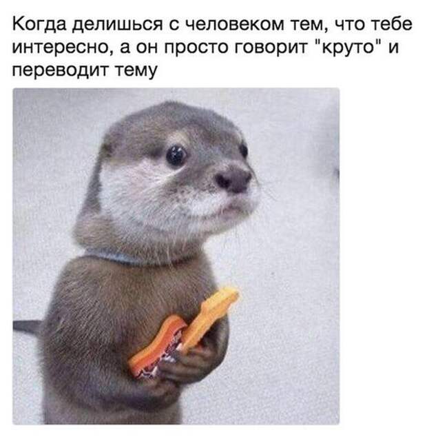 Веселые и прикольные надписи к картинкам (11 фото) Веселые и прикольные надписи к картинкам (11 фото)
