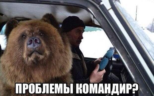Смешные картинки с надписями для поднятия настроения (11 фото) Смешные картинки с надписями для поднятия настроения (11 фото)