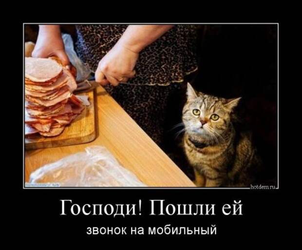 1455607754_demotivatory