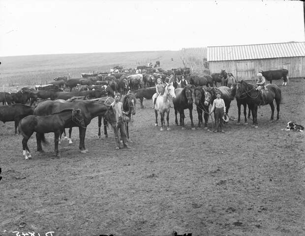 Как поднималась американская целина. Архивные фотографии пионеров Великих равнин конца 19-го века 35