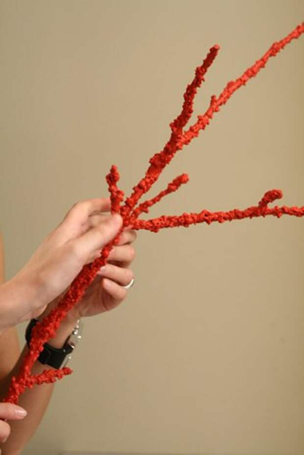 Коралловая ветка своими руками (Мастер-класс, фото)