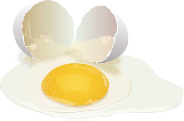 Яичные белки полезнее, чем яйца еда, ложные факты, суперпродукты