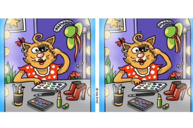 11 отличий за 40 секунд: тест для глаз и мозга