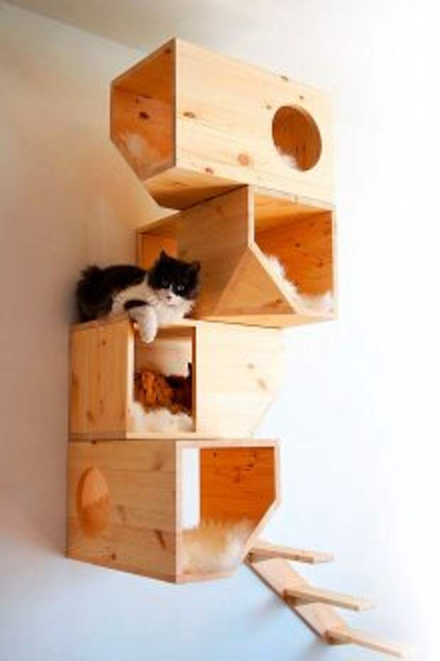 Игровой комплекс на стене для кошки