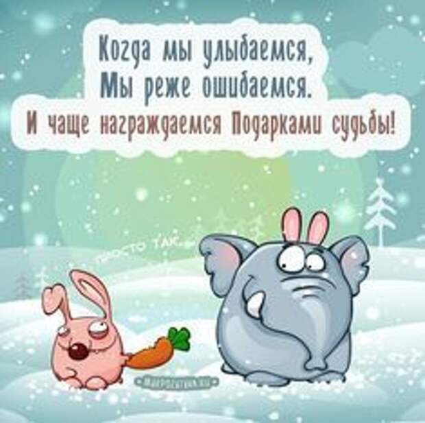 Несколько задорных открыток с отборным юмором