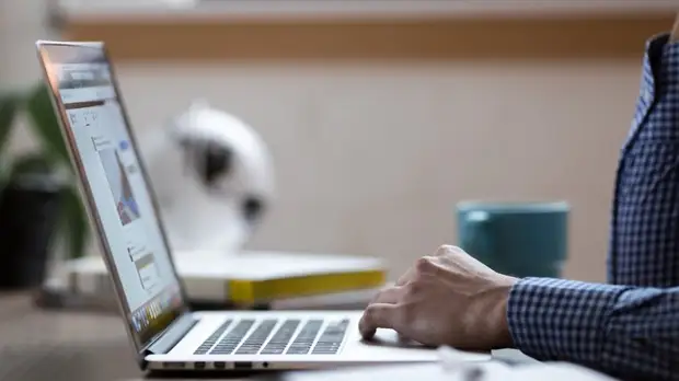 Из реестра российского ПО могут удалить более 100 правообладателей