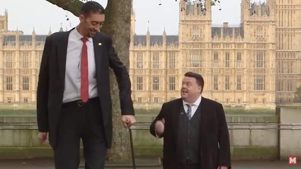Видео: Самые высокие люди в истории 