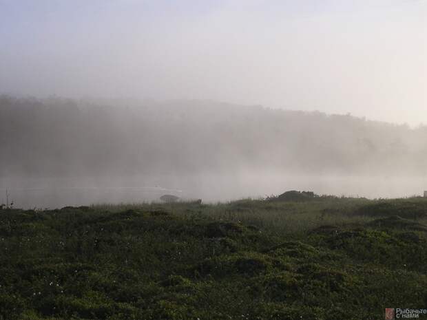 Раннее утро и туман, стелящийся над кумжевой рекой.