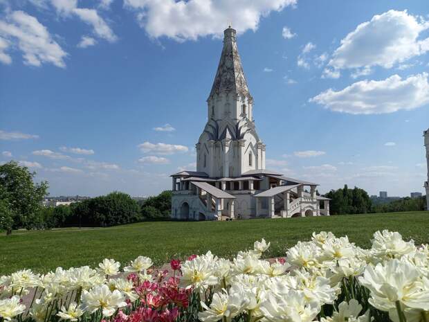 Цветы Москвы.