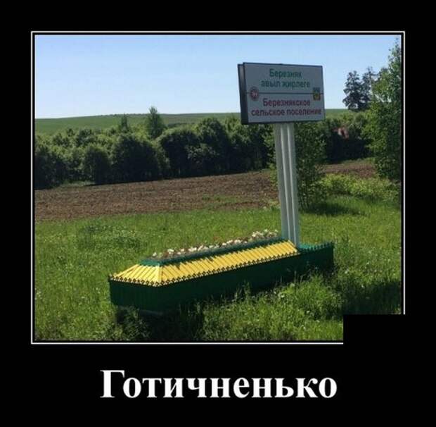 Демотиваторы (30 фото)
