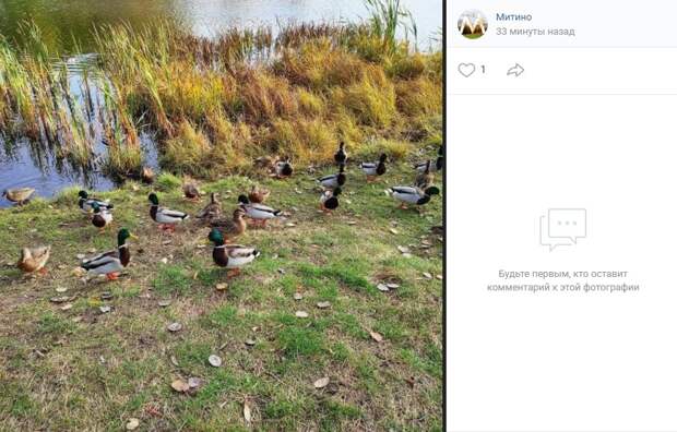 Фото дня: к перелету готовы!