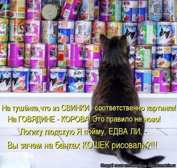 Мысли вслух :)