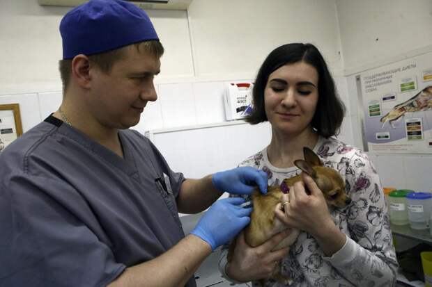 На Летчика Бабушкина появится передвижной пункт вакцинации животных