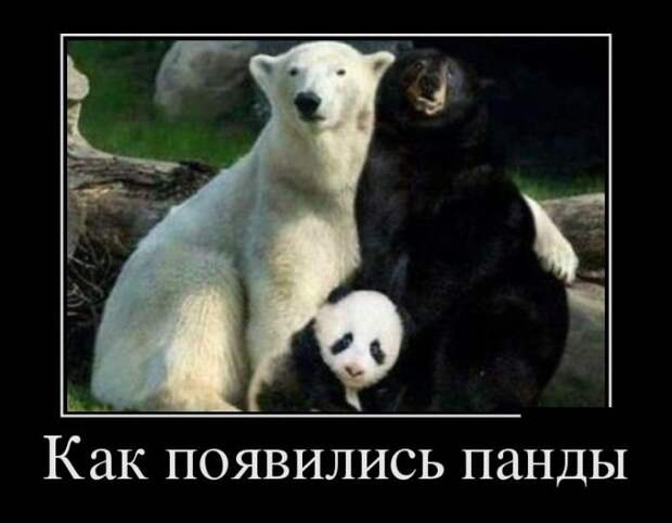 demotivatory_na_sredu_29_foto_19.jpg