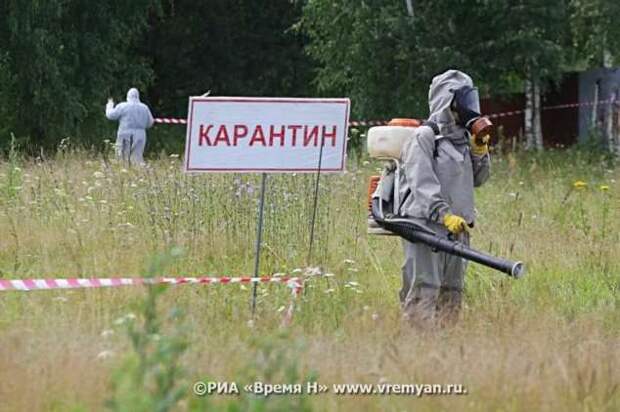 Смешные комментарии. Подборка chert-poberi-kom-chert-poberi-kom-07410623082020-11 картинка chert-poberi-kom-07410623082020-11