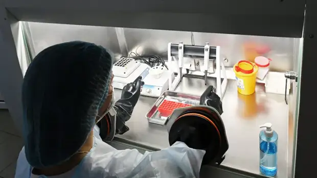 В Роспотребнадзоре рассказали о возможном сроке активности COVID-19