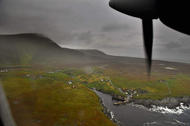 miniature-ponies-foula-island-4