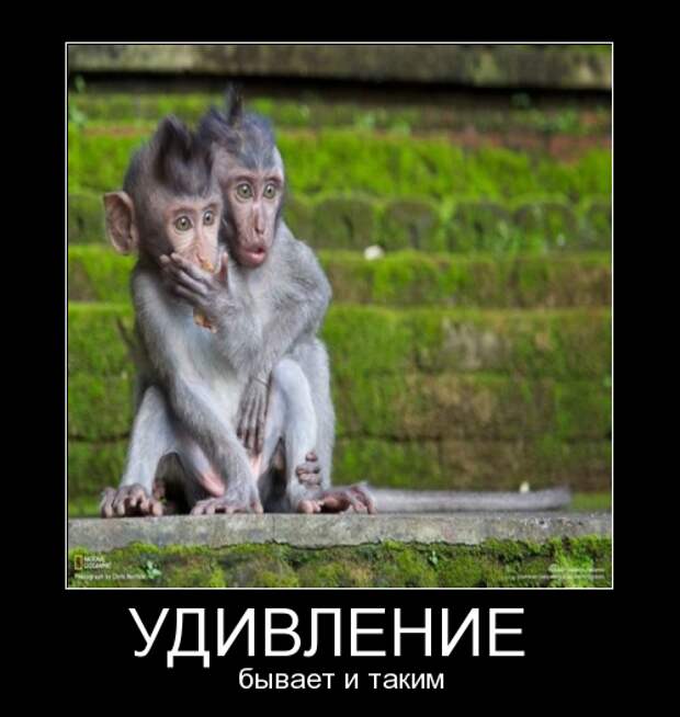 15057d1df1e904ba2f22465001ef5971