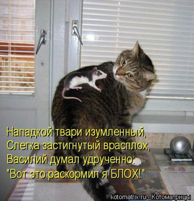 1464560188_45