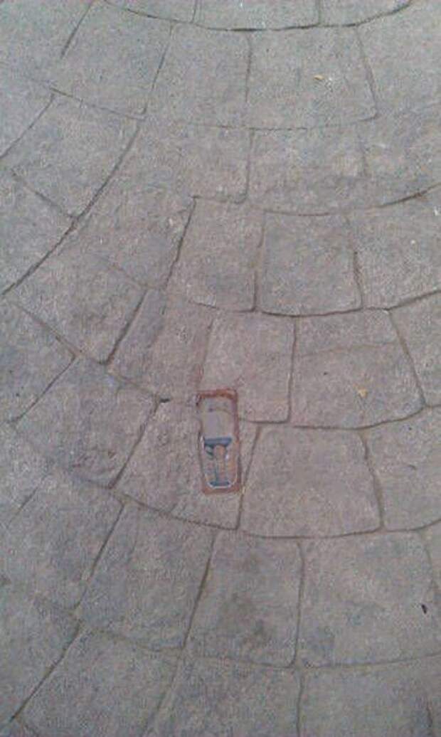 Прикольные картинки