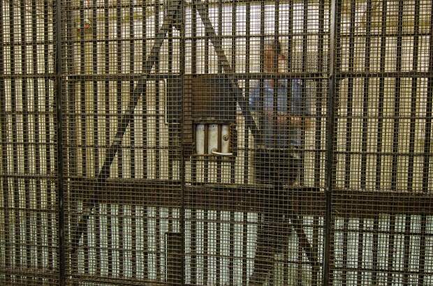 В США задержали иранку по обвинению в торговле оружием на миллионы долларов