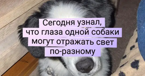 Как понять из ряда вон выходящее. Как понять из ряда вон выходящее