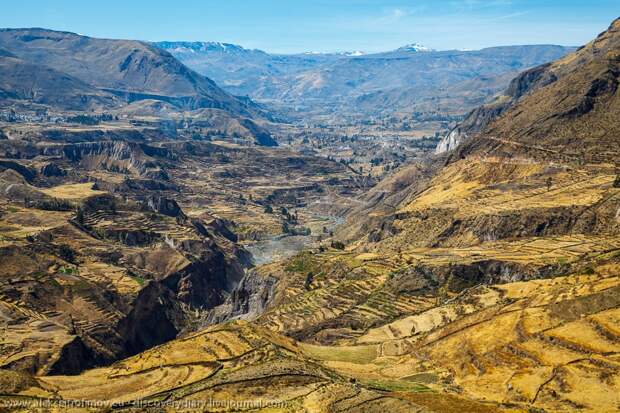 Спускаемся в глубочайший каньон на Земле colca25 Спускаемся в глубочайший каньон на Земле