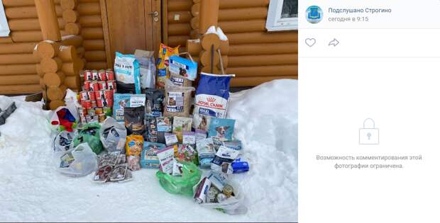 Жители Строгина собрали почти 200 килограммов корма для собак и кошек из приюта