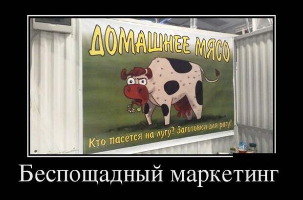 Прикольные демотиваторы для улыбок (10 фото)
