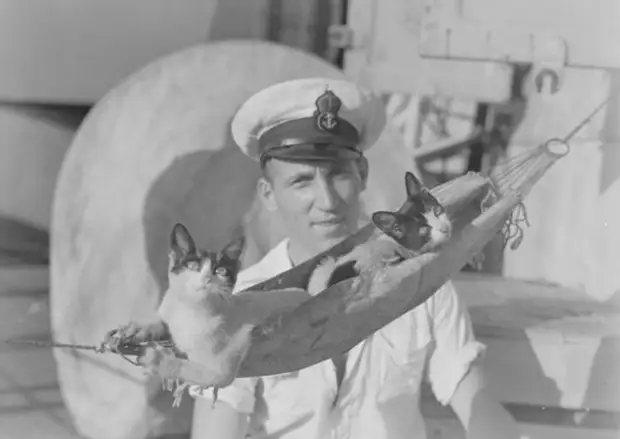 13 доказательств, что к котикам на флоте всегда было особое отношение