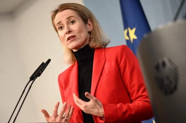 Меркурис: Каллас бьётся в истерике после интервью Зеленского и будет мстить