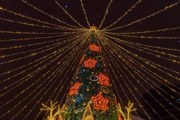 У ЛДС "Кристалл" в Тамбове установят новую ёлку