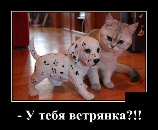 demotivatory-demotivator-smeshnye-demotivatory-demotivator-so-smyslom