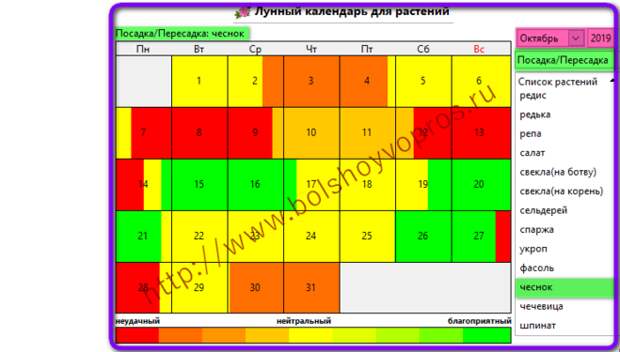 Какого числа по лунному календарю сажать чеснок