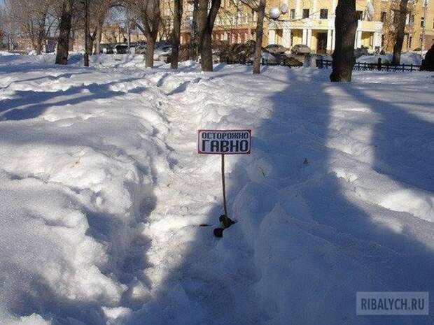 жуть из соцсетей